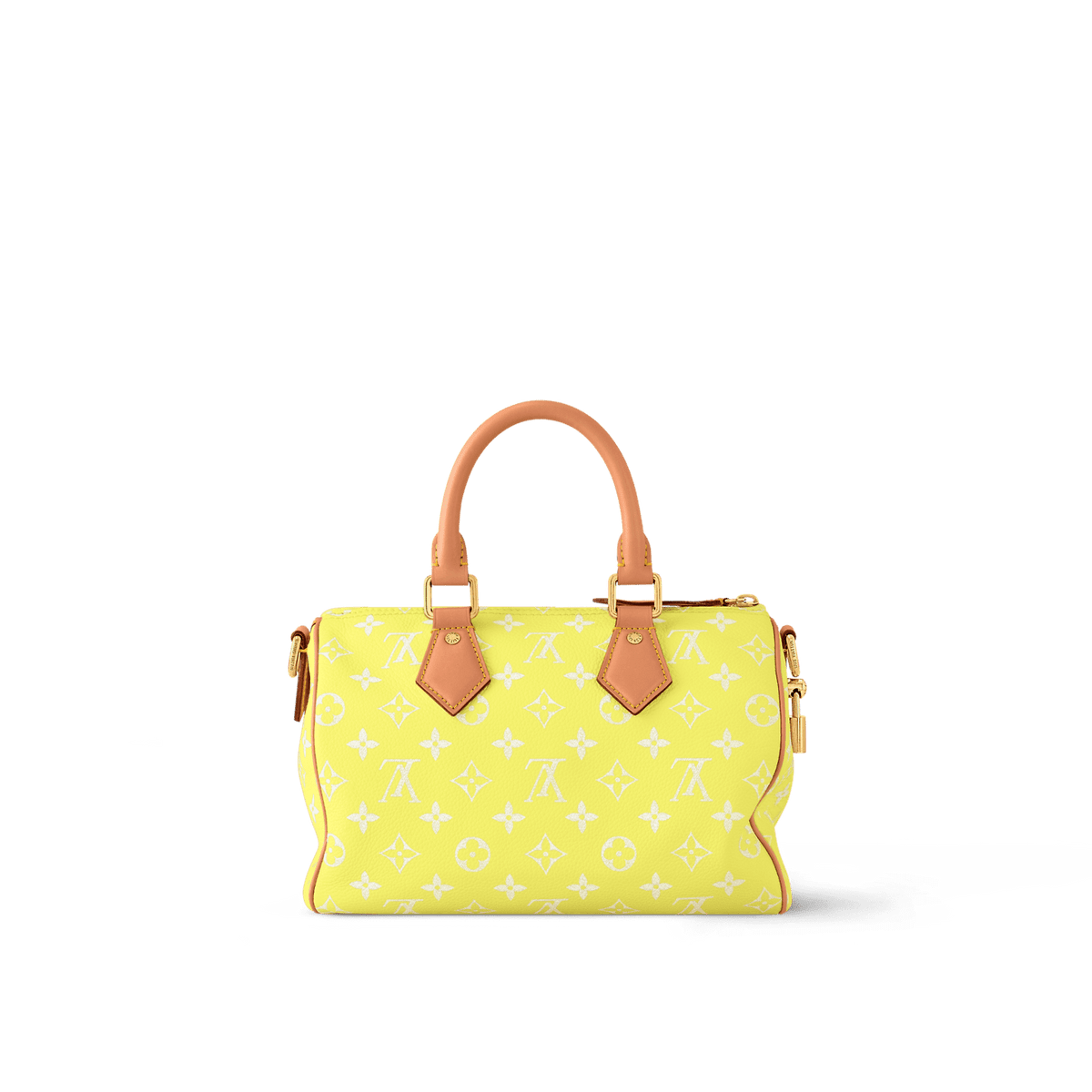 Louis Vuitton SPEEDY P9 BANDOULIÈRE 25 BAG
