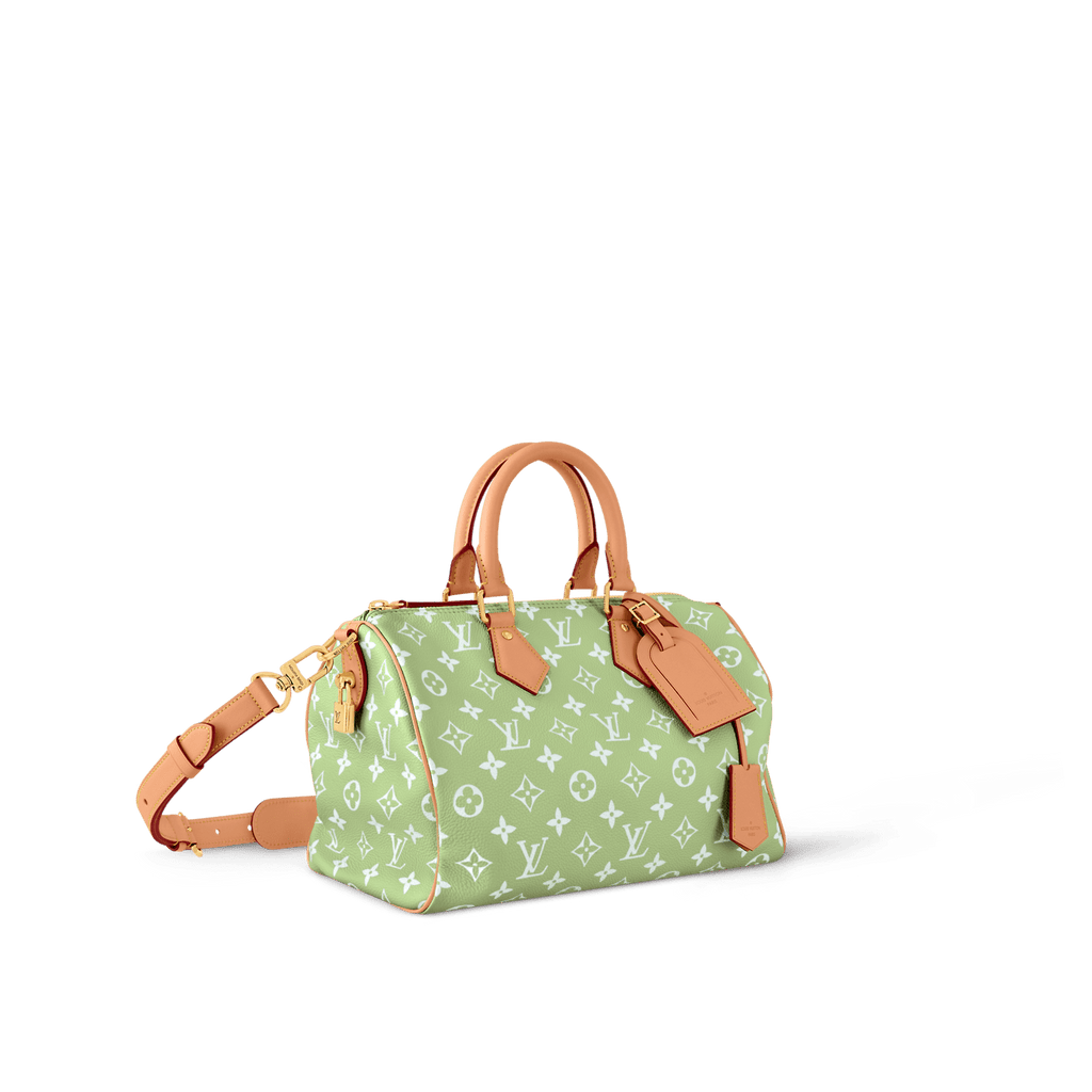 Louis Vuitton M14064 SPEEDY P9 BANDOULIÈRE 30 BAG