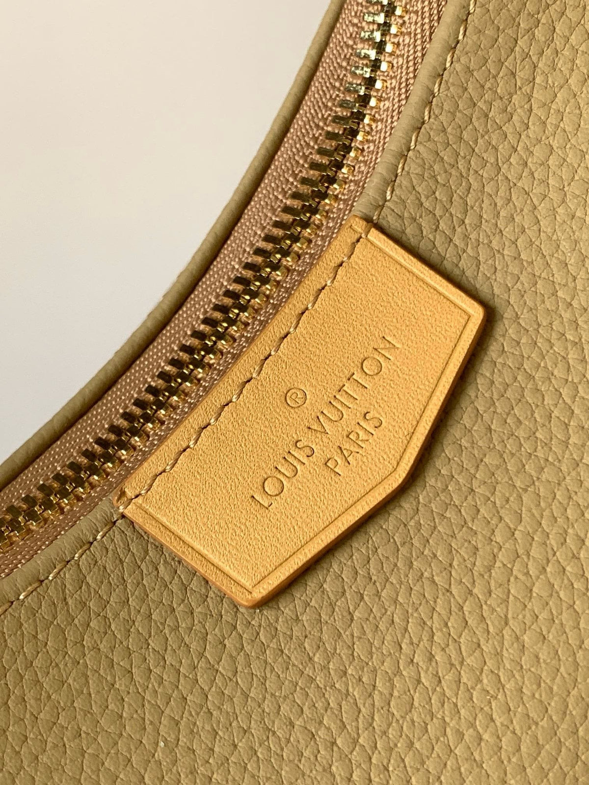 Louis Vuitton M12697 Hobo Cargo (top quality)