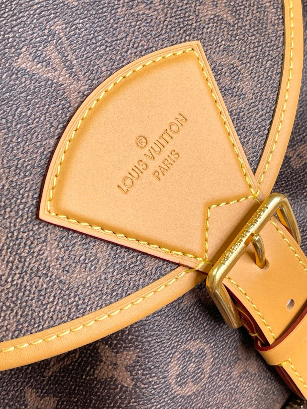 Louis Vuitton M11540 Montsouris Backpack