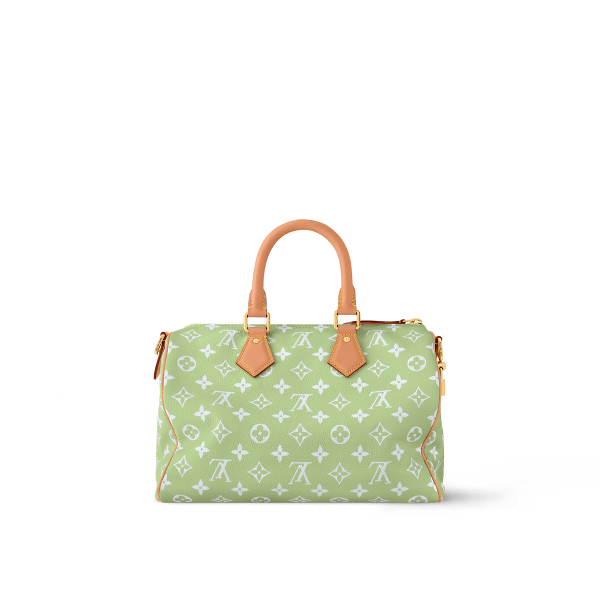 Louis Vuitton M14064 SPEEDY P9 BANDOULIÈRE 30 BAG (top quality)
